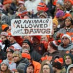browns bengals