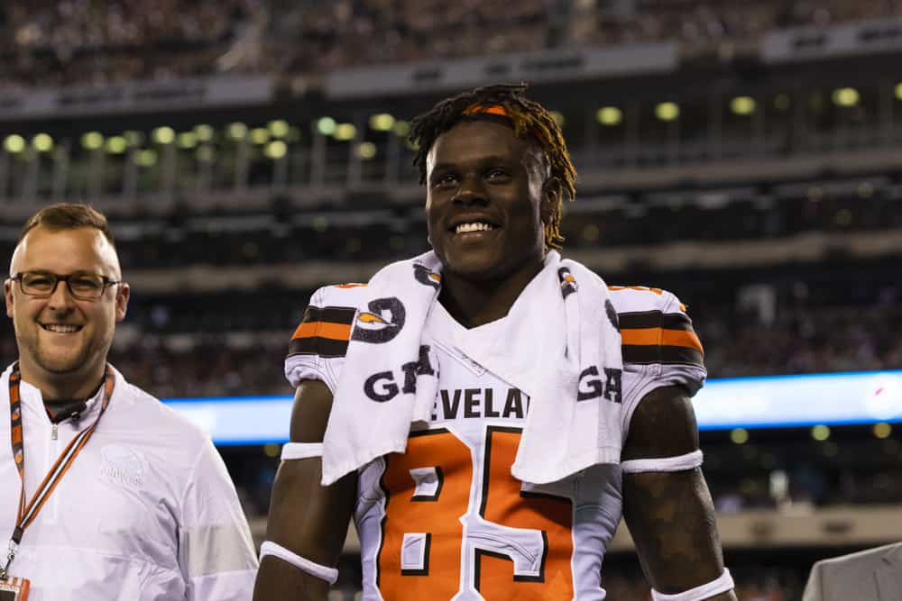 Cleveland Browns tight end David Njoku (85) during the NFL regular season football game against the New York Jets on Monday, September 16, 2019 at MetLife Stadium in East Rutherford, NJ. 