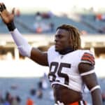 Cleveland Browns tight end David Njoku