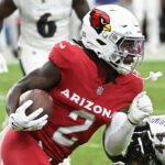 Arizona Cardinals WR Marquise Brown