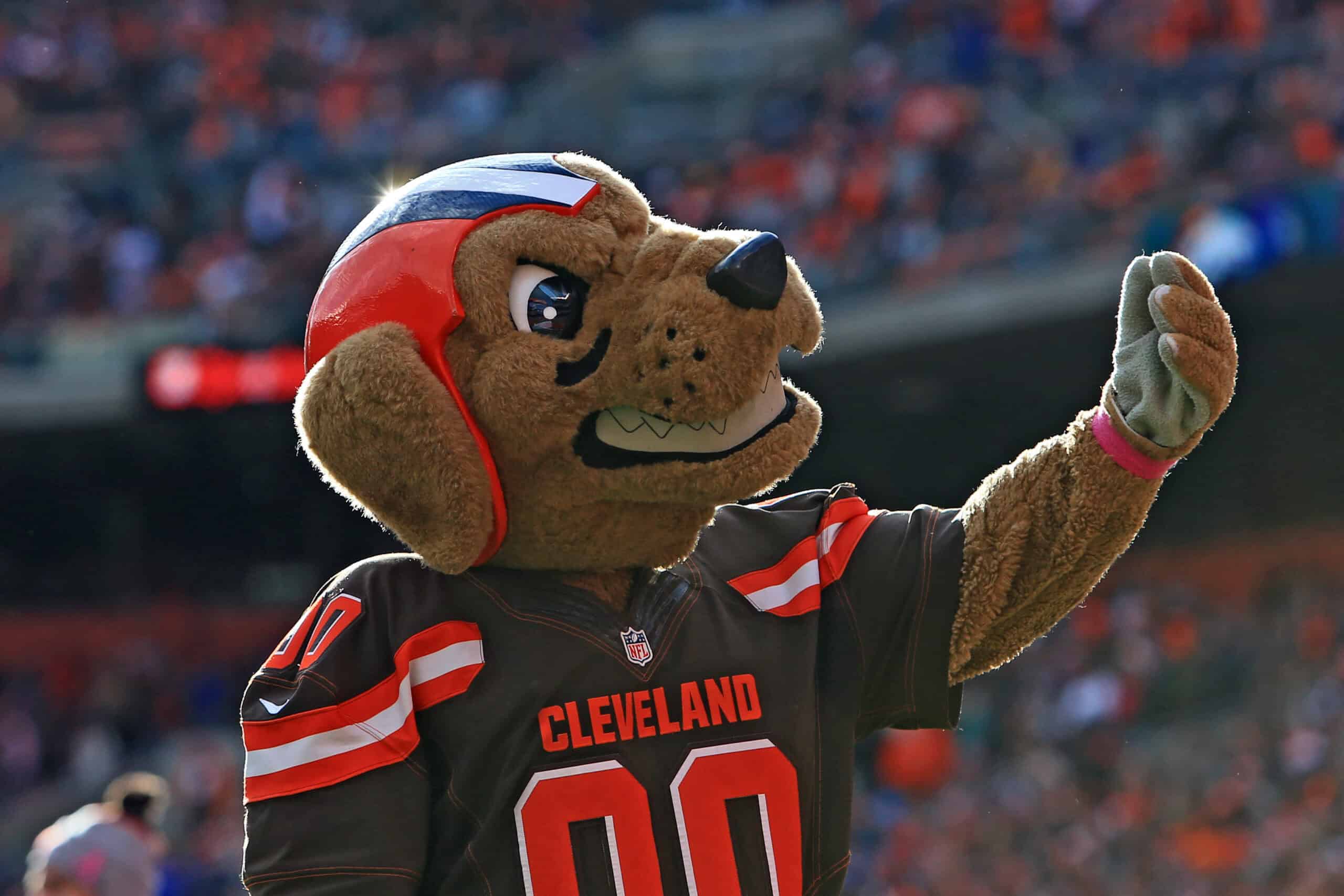 CLEVELAND, OH - OCTOBER 18: Chomps mascot of the Cleveland Browns against the Denver Broncos at Cleveland Browns Stadium on October 18, 2015 in Cleveland, Ohio. Broncos defeated Browns 26-23.