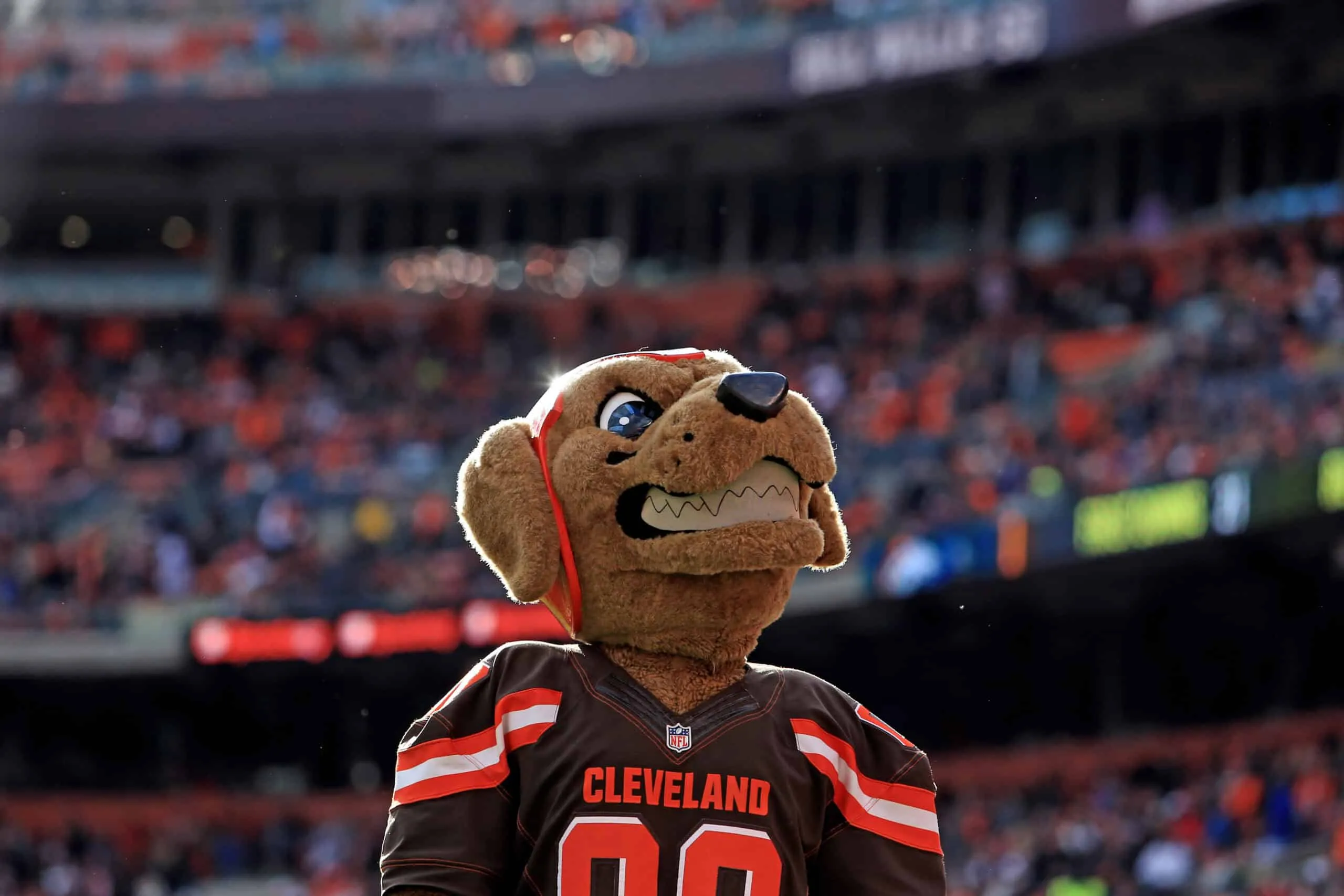 CLEVELAND, OH - OCTOBER 18: Chomps mascot of the Cleveland Browns against the Denver Broncos at Cleveland Browns Stadium on October 18, 2015 in Cleveland, Ohio. Broncos defeated Browns 26-23.